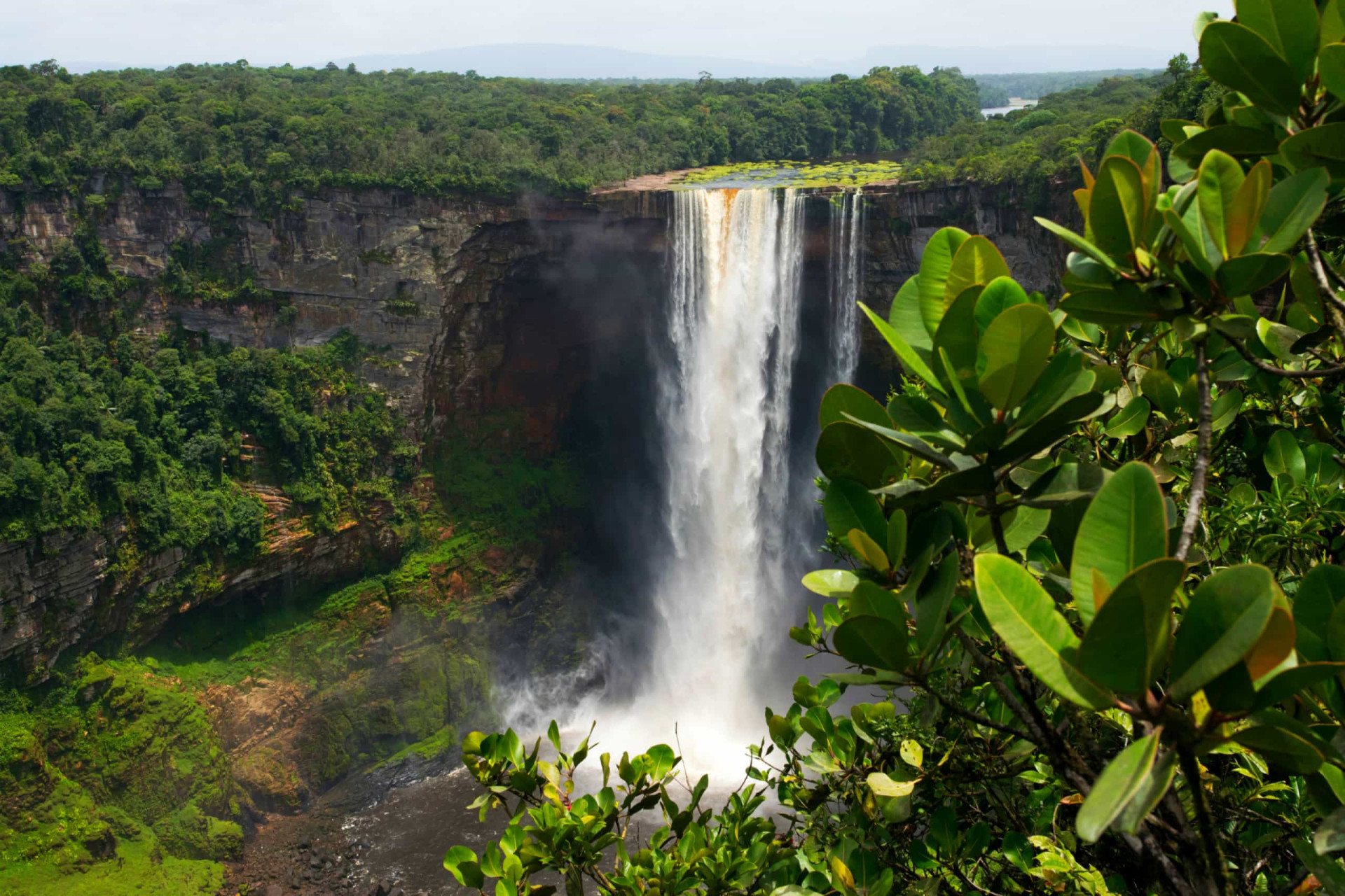 Did you know that the Kaieteur Falls is the world's largest single drop waterfall by the volume of water flowing over it? Don't leave Guyana without feasting your eyes on this staggeringly impressive natural wonder.