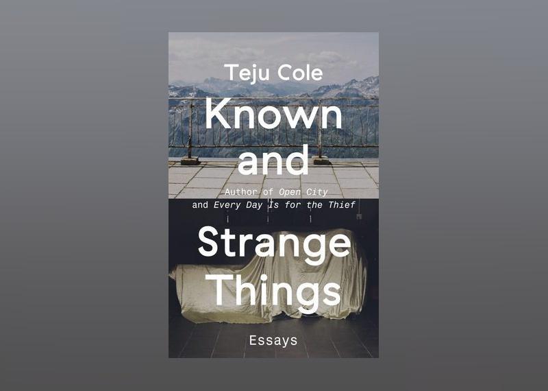 <p>- Author: Teju Cole<br> - Date published: 2016<br> - Genre: Nonfiction, Essays</p>  <p>"Known and Strange Things" is a collection of essays from award-winning art historian and author Teju Cole that bridges African and Western art and delves bravely into history and politics, among a myriad of other topics. The collection features more than 50 pieces that, among other things, take a fresh look at subjects like James Baldwin, Shakespeare, and Barack Obama.</p>