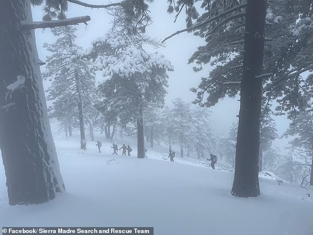 desperate search for missing hiker, 22, who vanished on mount baldy during snowstorm when extreme weather hit california: women sent friends videos of herself walking up frosty trail in heavy rain