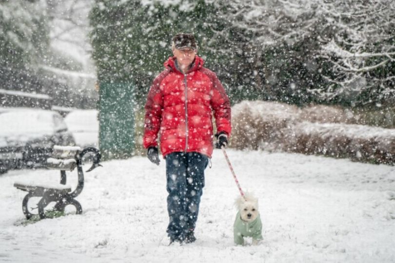 Met Office Announces All The Places In England It'll Snow On Friday ...