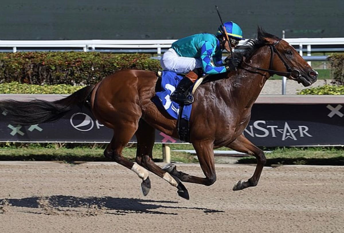 Equibase Analysis: Change Of Command Leads Deep Sam F. Davis Stakes Field