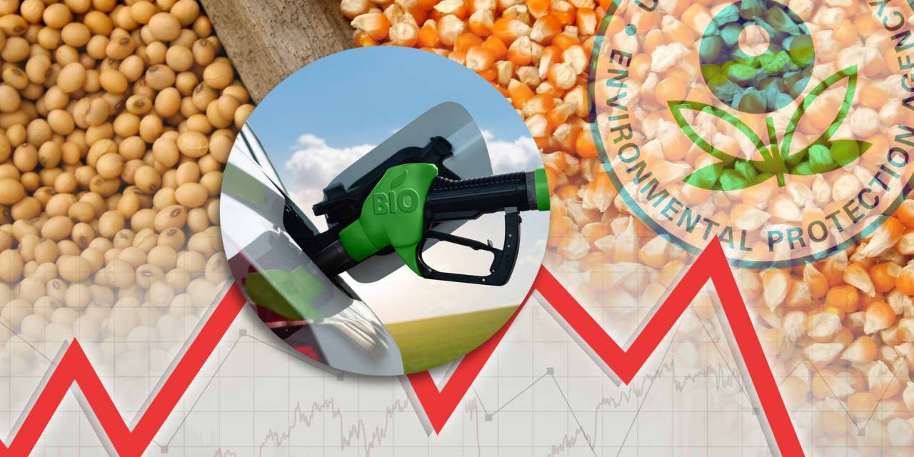 Corn And Soybean Prices Drop 8 To Begin 2024 And The EPA Is Partly   BB1hZKuS.img