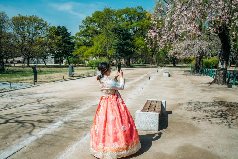 Young asian woman traveler in korean national dress or Hanbok traveling into the Gyeongbokgung Palace with cherry blossom or calling sakura flower at Seoul city, South Korea.