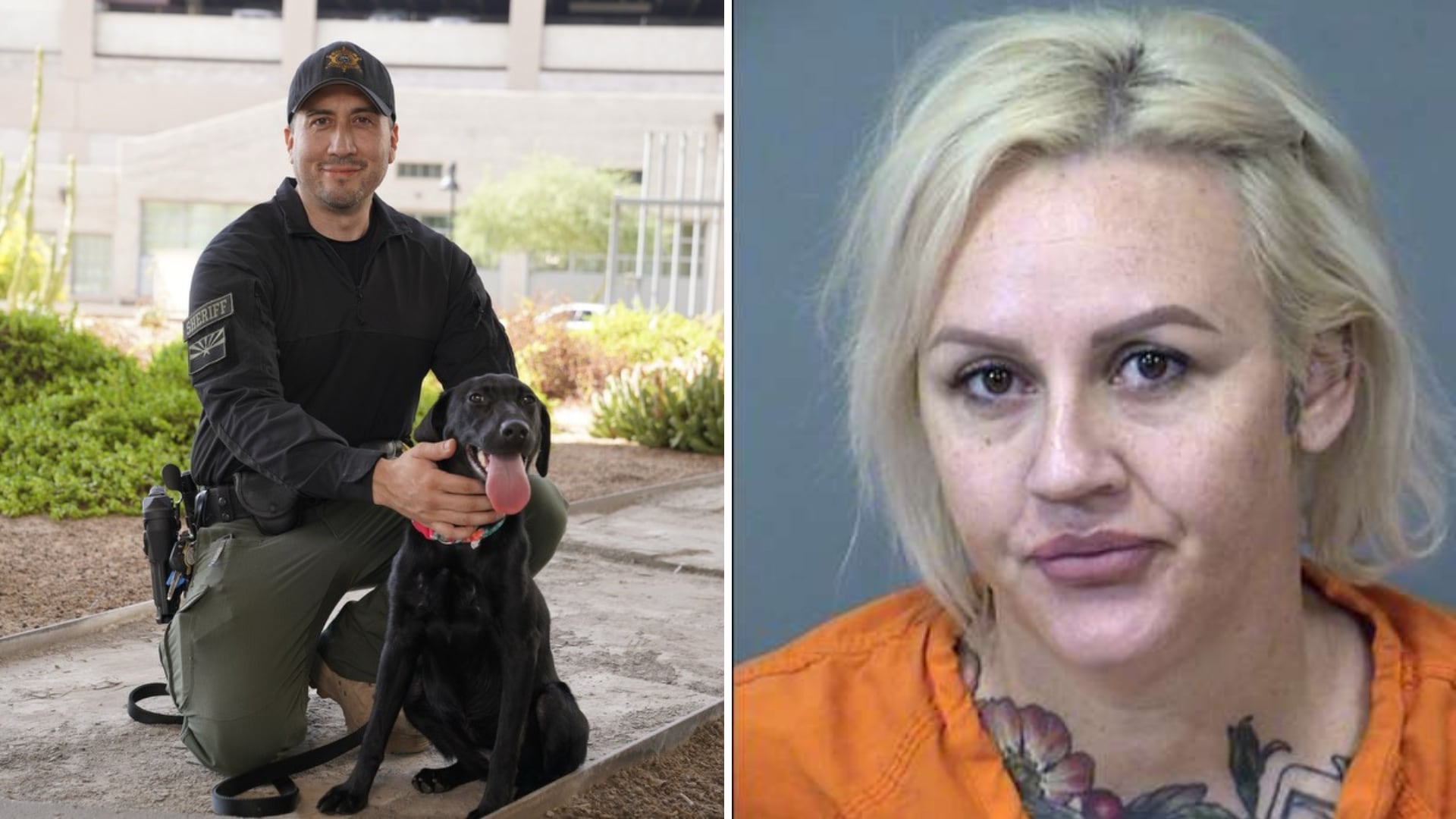 Maricopa County K-9 Sniffs Out Drugs At Jail; Woman Arrested