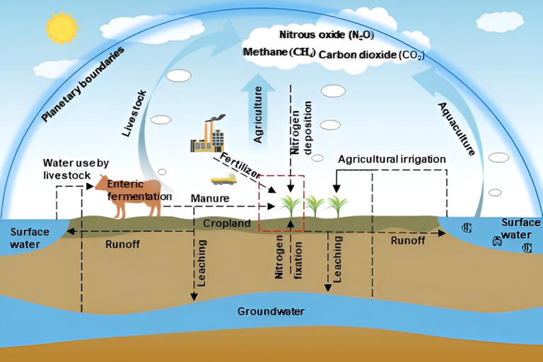 Assessment and strategies for sustainable food systems within planetary ...