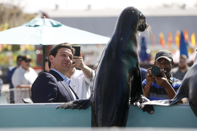 See Gov. Ron DeSantis and his kids at the Florida State Fair