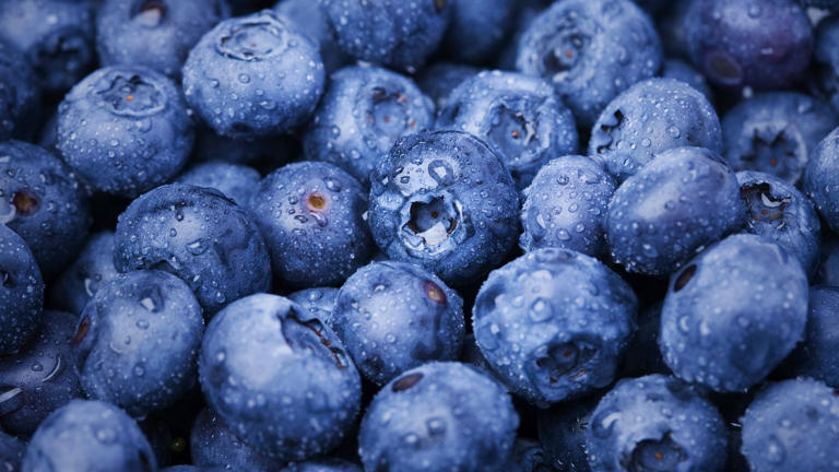 Warum Blaubeeren blau sind