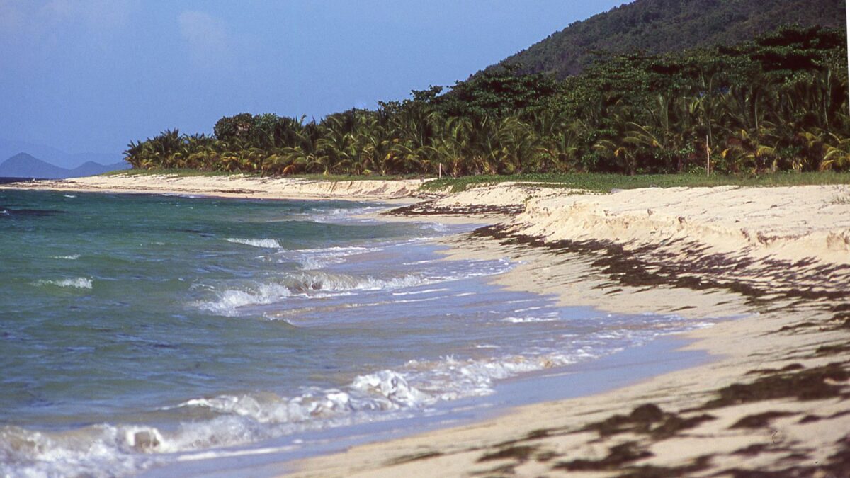 <p>Camp Bay Beach is a secluded beach on the island and is located on the northeastern coast of Roatan. This spot is excellent for fewer crowds, lush vegetation, and some of the best snorkeling.</p>
