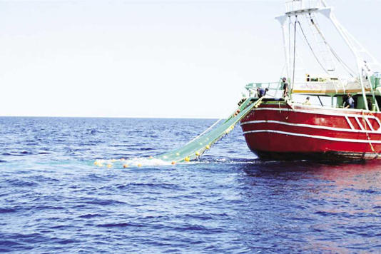 منع الصيد بالبحر الأحمر وخليجي السويس والعقبة من منتصف مايو لـ 15 سبتمبر (تفاصيل)