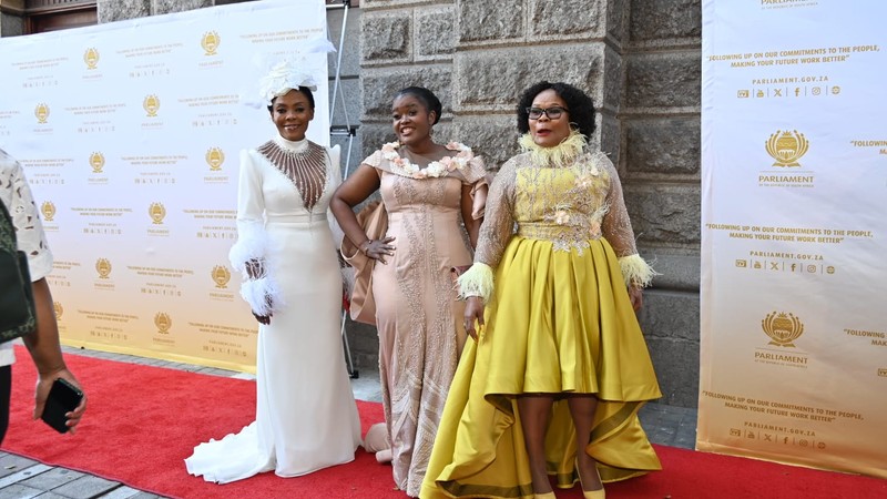 A Look Into The SONA 2024 Red Carpet   BB1hZziW.img