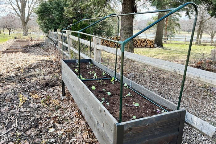 How To Build and Plant a Raised Bed Vegetable Garden