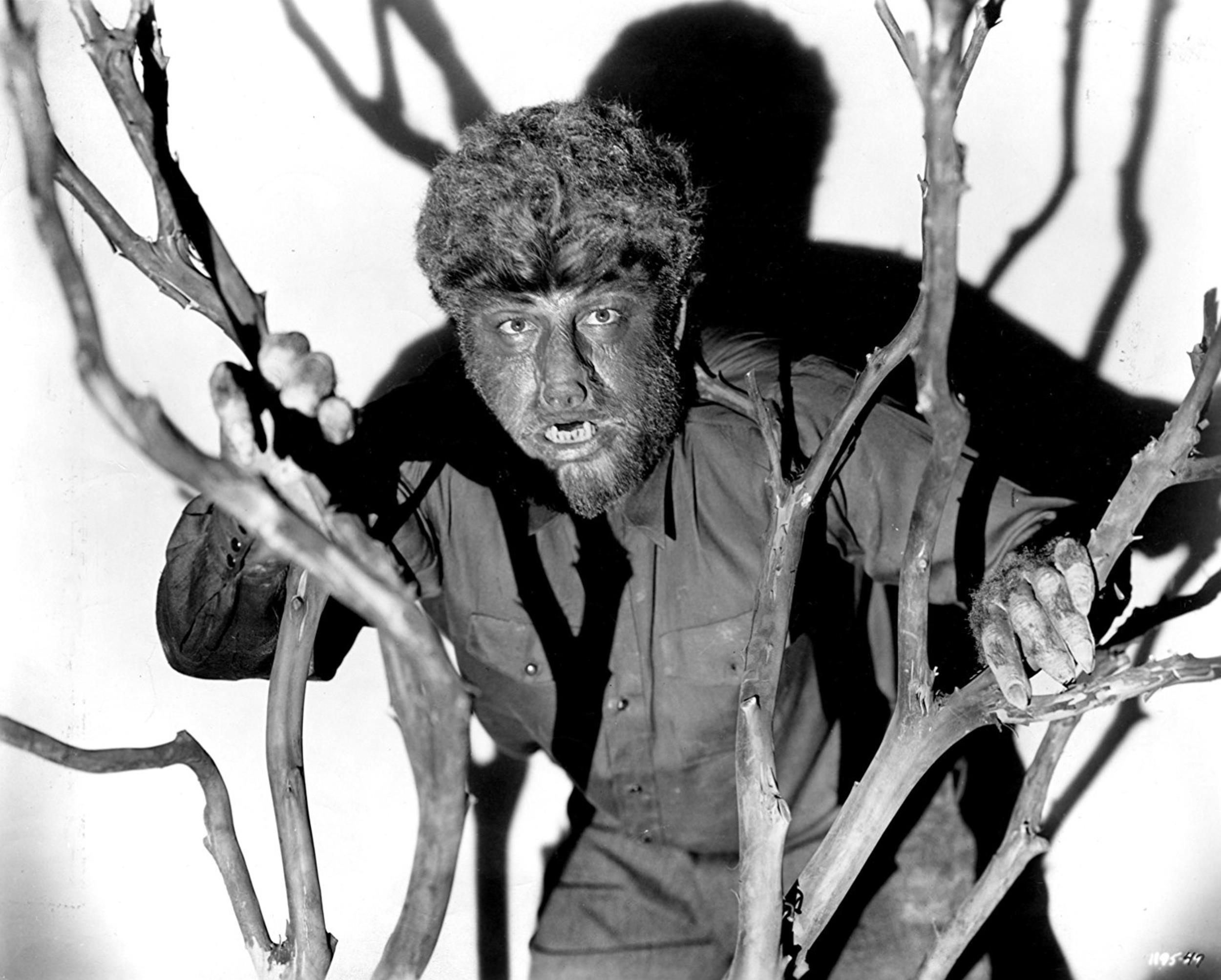 <p>Director George Waggner and screenwriter Curt Siodmak collaborated for one of Universal’s finest horror films, which stars Lon Chaney Jr. as the cursed Larry Talbot. The highlight of the movie is Talbot’s progressive transformation into a werewolf, which set a high standard for creature visual f/x. (Makeup maestros like Rick Baker still marvel at it.) While "The Wolf Man" was a celebrated part of the Universal Monsters franchise, the furry fella never got another sequel unto himself. Many fans include 1935’s unrelated “Werewolf of London” as part of the series, with “Frankenstein Meets the Wolf Man” and the June Lockhart-starring “She-Wolf of London” as official follow-ups (even though the latter has nothing to do with the Talbot story).</p><p>You may also like: <a href='https://www.yardbarker.com/entertainment/articles/the_20_best_movie_trilogies_of_all_time_012324/s1__39668197'>The 20 best movie trilogies of all time</a></p>