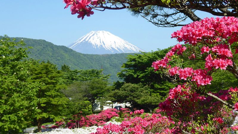 vermüllter berg: japan führt eine besucherobergrenze für den mount fuji ein