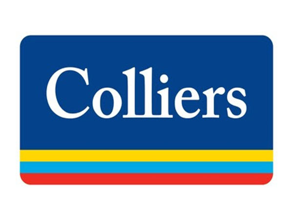 colliers' sankey prasad appointed chairman and managing director for india & cmd for colliers project leaders middle east