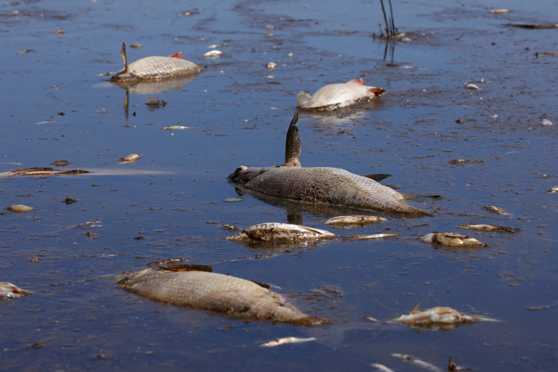L'océan capte 90 % de la chaleur excédentaire générée par les émissions de CO2