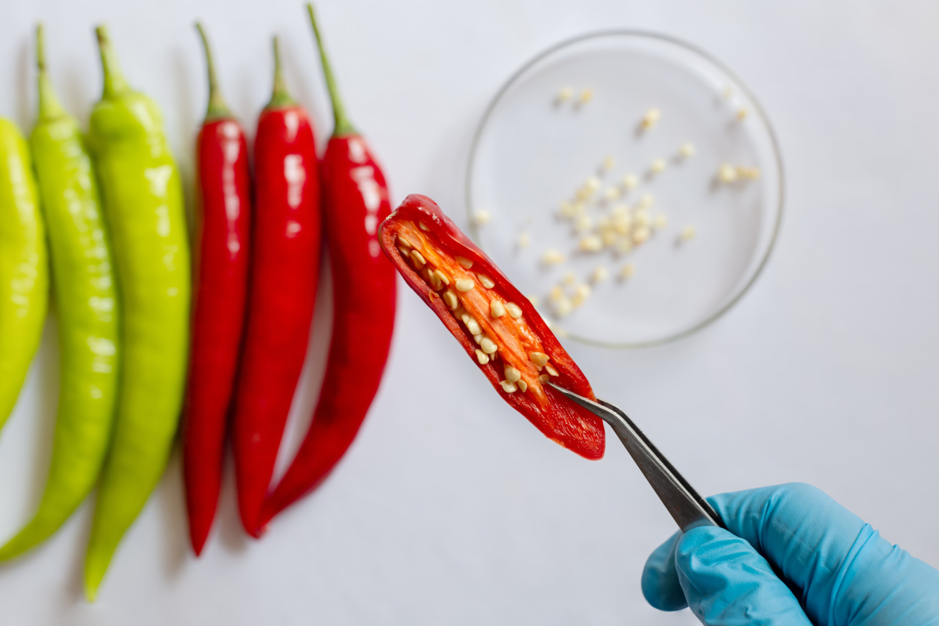 Überraschend vielseitig: 29 saisonale Rezepte für den Februar