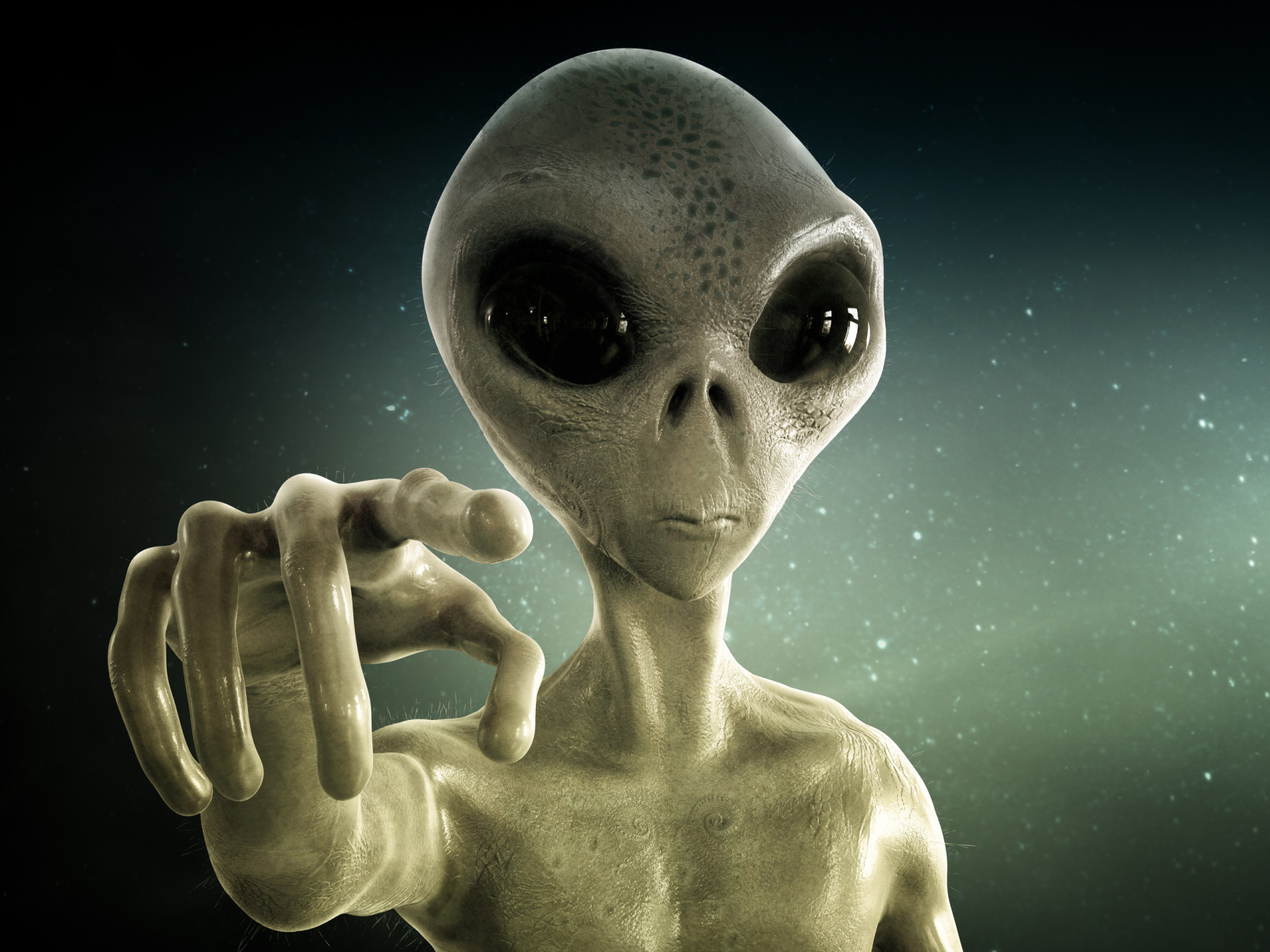 Hvad skal du gøre, hvis du ser en alien?