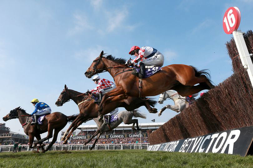 Cheltenham Festival 2024 Key dates, ticket prices and how to get them