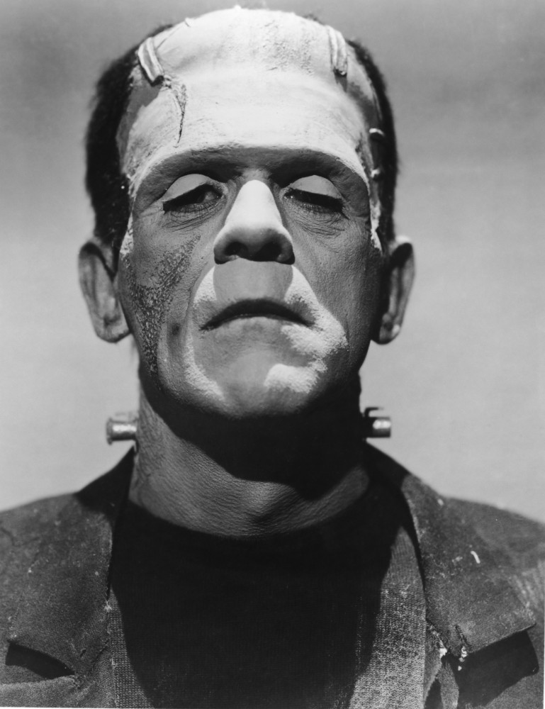 <p>Shelley wrote 'Frankenstein; or, The Modern Prometheus' when she was only 18 years old. The novel tells the story of Victor Frankenstein, a scientist who creates a creature from dead body parts, who exacts vengeance on his maker.</p><p>You may also like:<a href="https://www.starsinsider.com/n/341290?utm_source=msn.com&utm_medium=display&utm_campaign=referral_description&utm_content=649723en-ie"> Stars who dropped dead on stage</a></p>