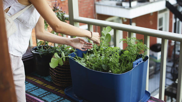 Apartment balcony planter