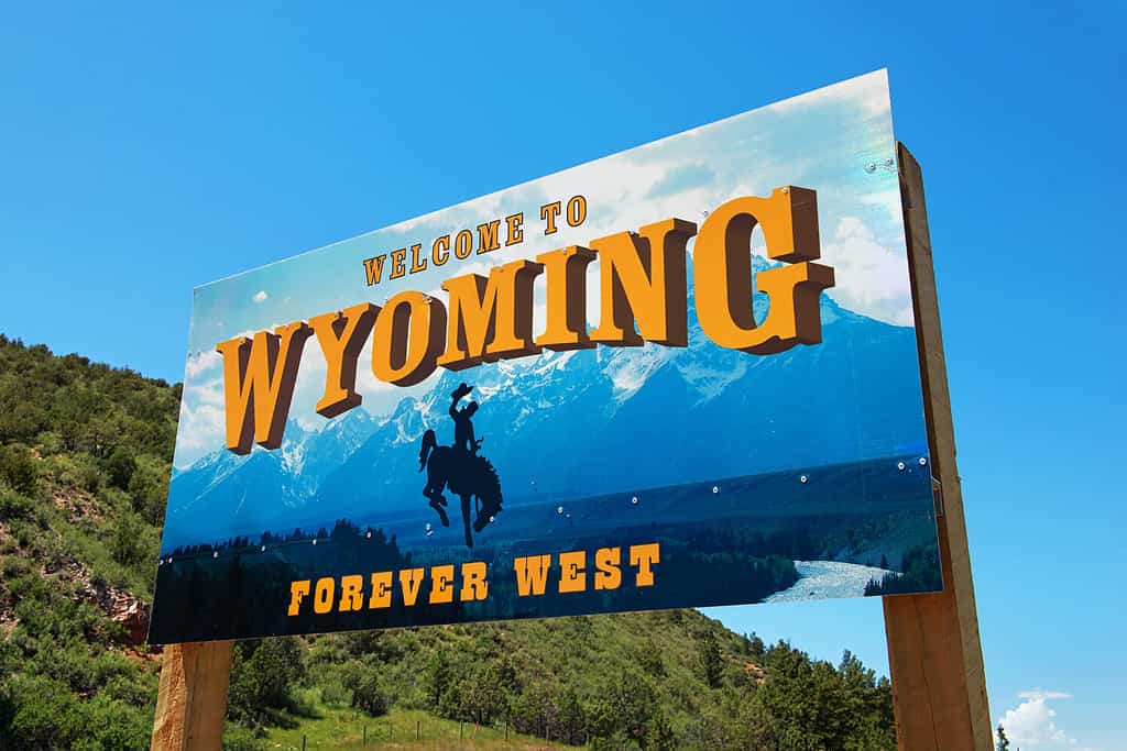 <p>For retirees who want to spend their golden years surrounded by picturesque natural beauty, Wyoming is a top choice. As the country’s <a href="https://a-z-animals.com/blog/the-largest-city-in-wyoming-now-and-in-2050/" rel="noopener">least populated state</a>, Wyoming offers a balance of vast open spaces and charming cities with modern amenities. Keep reading to learn about 11 amazing places to retire in Wyoming.</p> <p>For retirees who want to spend their golden years surrounded by picturesque natural beauty, Wyoming is a top choice. As the country’s <a href="https://a-z-animals.com/blog/the-largest-city-in-wyoming-now-and-in-2050/?utm_campaign=msn&utm_source=msn_slideshow&utm_content=1299021&utm_medium=in_content" rel="noopener">least populated state</a>, Wyoming offers a balance of vast open spaces and charming cities with modern amenities. Keep reading to learn about 11 amazing places to retire in Wyoming.</p><p>Love Animals as much as we do? Make sure to Follow and Like us on MSN. Have feedback? Add a comment below!</p>