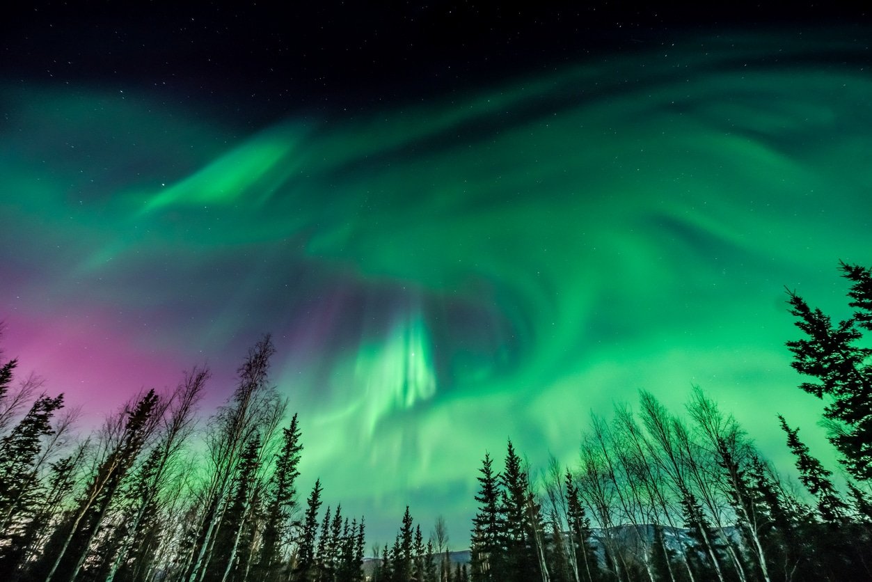 Experts Say The Northern Lights In 2024 Are Predicted To Be The Best In   BB1hblYk.img