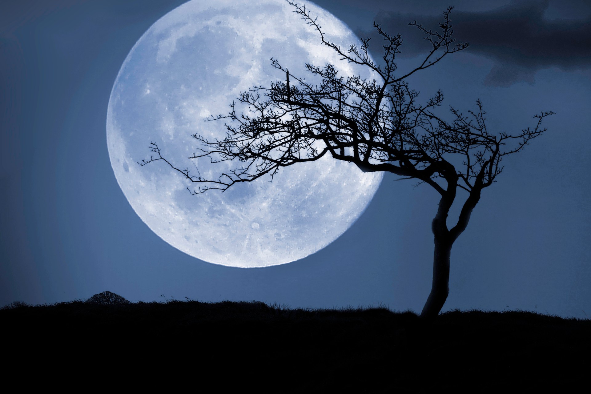 The First Full Moon Of 2024 Is Approaching And It S A Howler   BB1hc00A.img