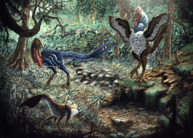 Scientists discover new small, birdlike dinosaur from fossil