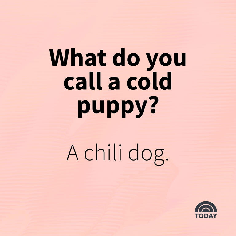 These jokes might be corny, but we guarantee both kids and adults will