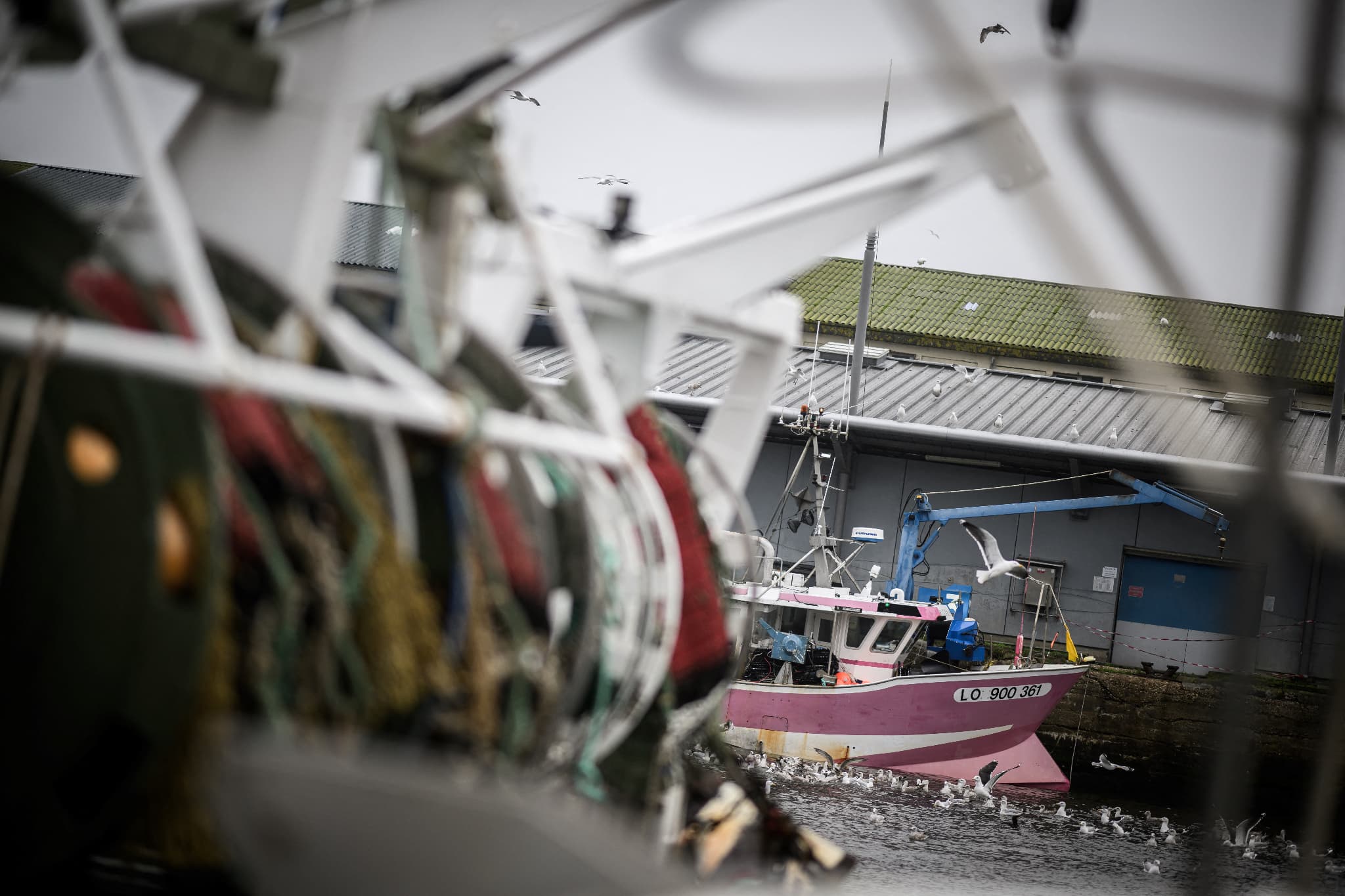 interdiction de la pêche dans le golfe de gascogne: un mois après, quelles conséquences?