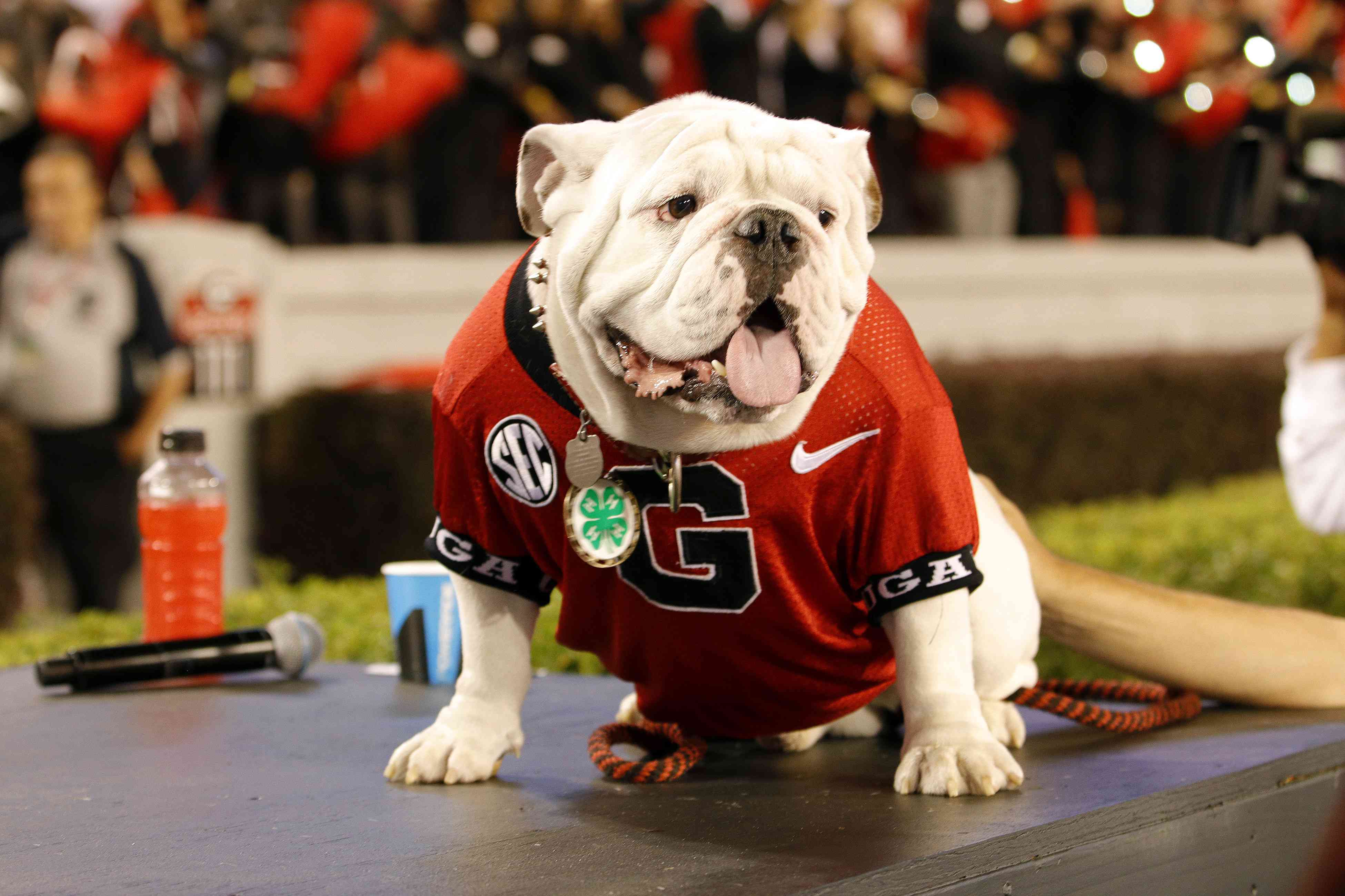 Retired Georgia Mascot, Uga X, Has Died