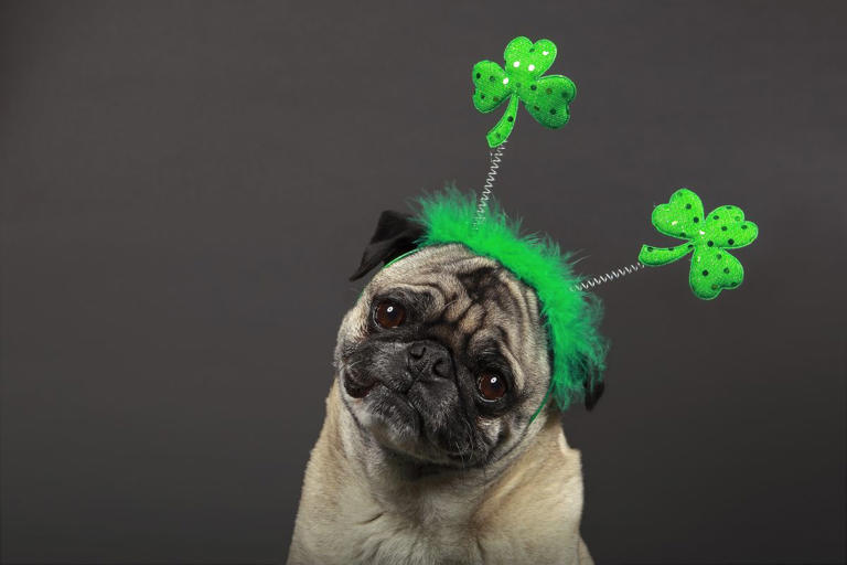 happy st patricks day blessing