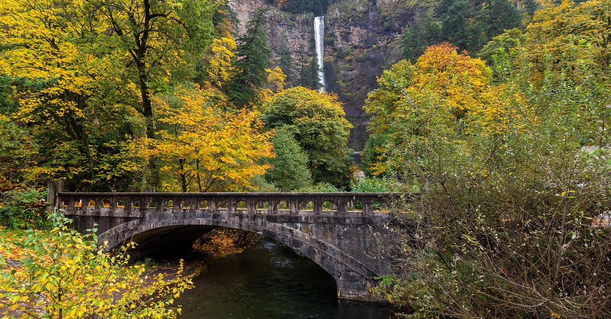 <p> The Columbia River Gorge National Scenic Area is a hot tourist attraction due to its natural beauty, with Multnomah Falls the most visited natural recreation site in the Pacific Northwest.  </p> <p> The flow of the falls tends to be higher in the winter and spring, and the breathtaking falls draw more than two million visitors every year.</p>
