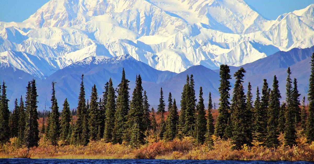 <p> Denali National Park and Preserve is one of those natural wonders you have to see to believe — hence why so many tourists seek it out. </p> <p> It’s 6 million acres of beauty and wonder — from the taiga forest and high alpine tundra to the breathtaking Denali Mountain (the tallest peak in North America).  </p>