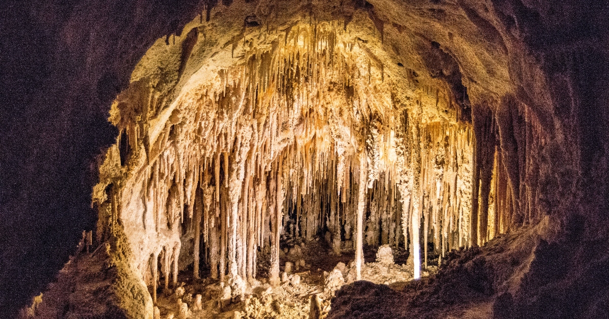 <p> The stunning natural beauty of Carlsbad Caverns includes deep canyons, flowering cacti, and more than 100 mesmerizing caves formed from sulfuric acid that dissolved into limestone. </p> <p> Guests can enjoy the caverns on their own or enroll in an educational program or ranger-guided tour.  </p>