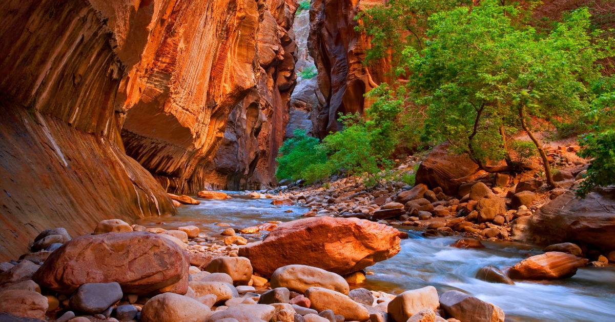 <p> Visitors come from far and wide to hike, bike, ride horses, take river trips, and camp in stunning Zion National Park.  </p> <p> The park's natural beauty is hard to pass up — with giant, colorful sandstone cliffs, breathtaking narrows, miles of winding trails through the wilderness, and more.  </p>