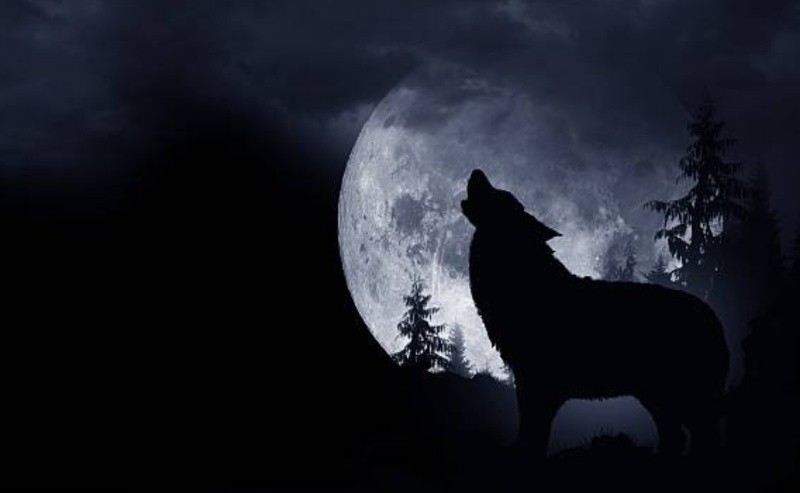 luna del lobo: qué significa la primera luna llena del año