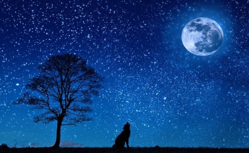 luna del lobo: qué significa la primera luna llena del año