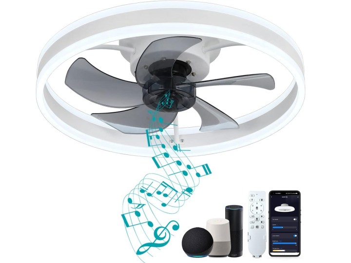 The 5 Best Smart Ceiling Fans For Your Home In 2024   BB1hfNCV.img