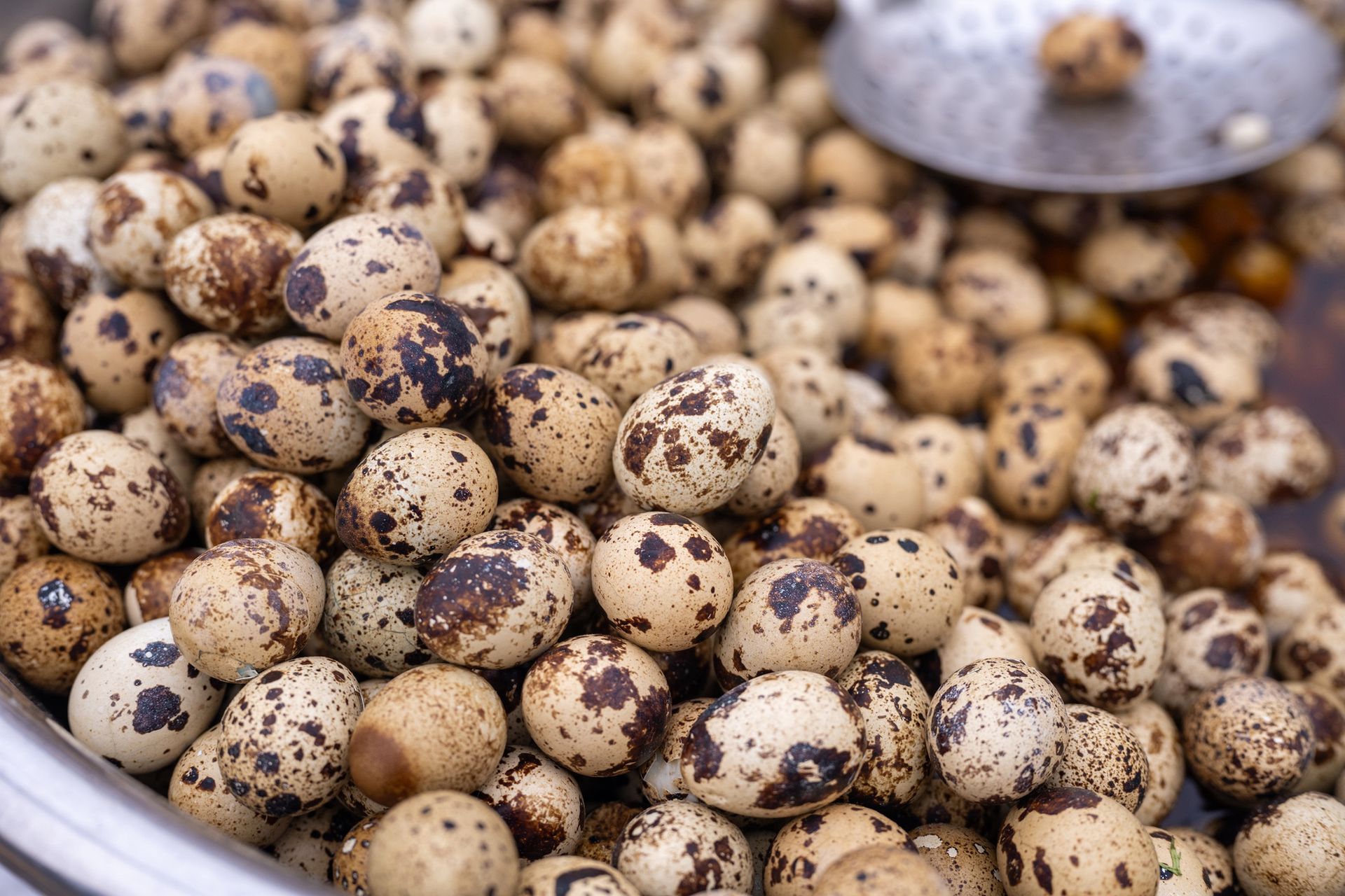 Quail eggs The underrated superfood packed with protein and vitamins