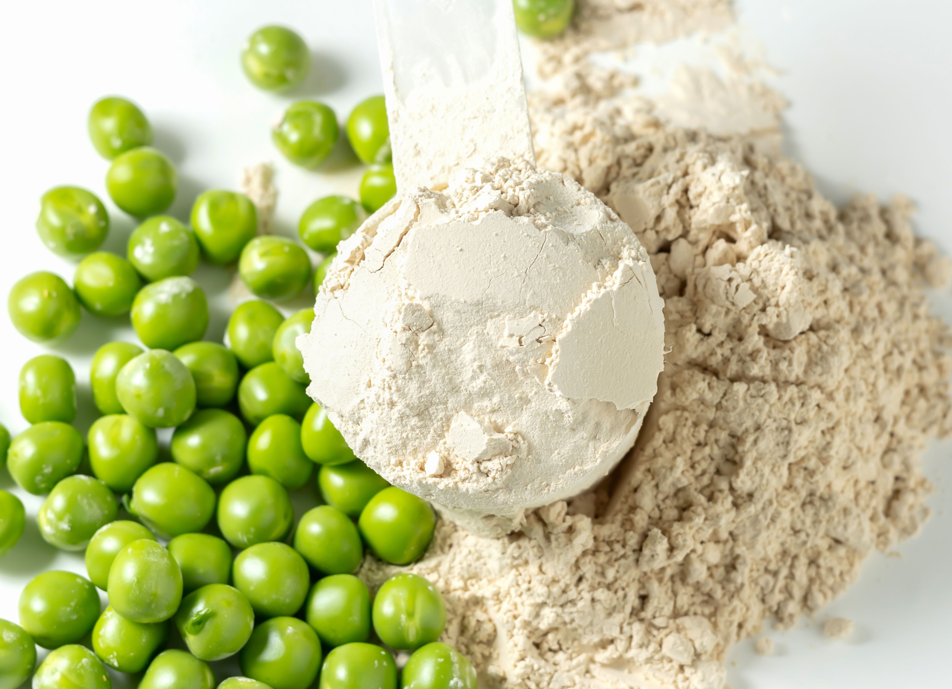 amazon, whey, pea or soy: which protein powder is right for you