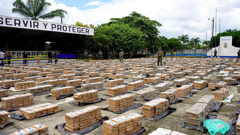 ¿qué Pasó Con Las Casi 22 Toneladas De Droga Decomisada En Una Finca De Vinces 