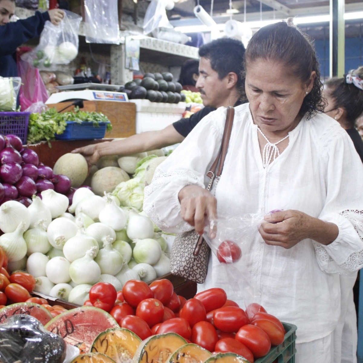 precios históricos favorecen la comercialización y exportación de cebolla en la región del évora