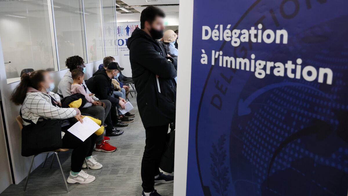 immigration : record du nombre de premiers titres de séjour délivrés en 2023