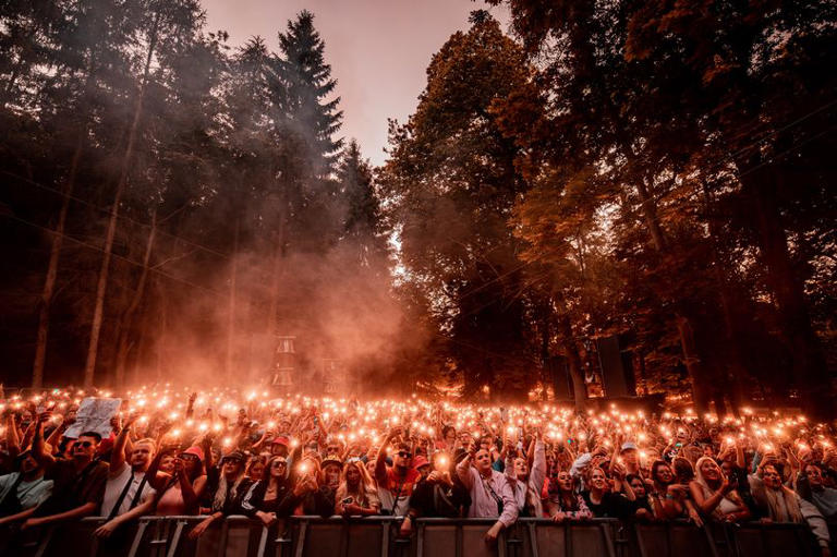 Forbidden Forest Festival 2024 at Belvoir to be biggest ever after