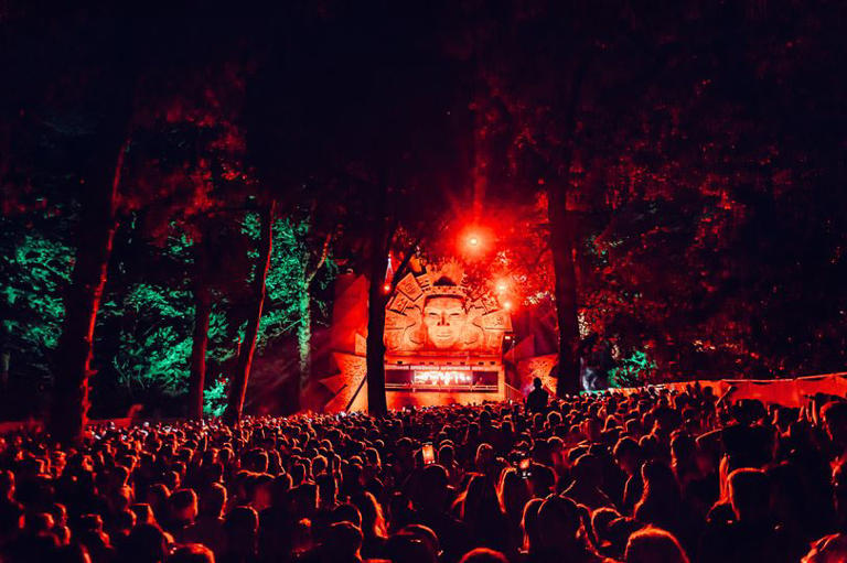 Forbidden Forest Festival 2024 at Belvoir to be biggest ever after