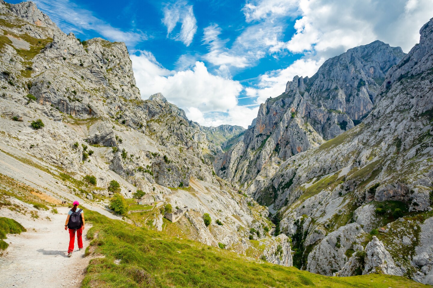 <h2>5. Picos de Europa National Park</h2> <p><i>Asturias, Cantabria, Castile and León</i></p> <p>While lounge-worthy stretches of beach characterize Spain’s south, Picos de Europa National Park is a prime example of the green, dramatic landscapes that dominate the north. The 250-square-mile national park was the first established by the Spanish government in 1918 and includes alpine peaks, meadows, and lakes that feel similar to landscapes of the Pacific Northwest. Explore the jagged edges of the Cantabrian Mountains along the 7.5-mile long Ruta del Cares<i>, </i>or look for local wildlife like the roe deer and Egyptian vultures.</p>