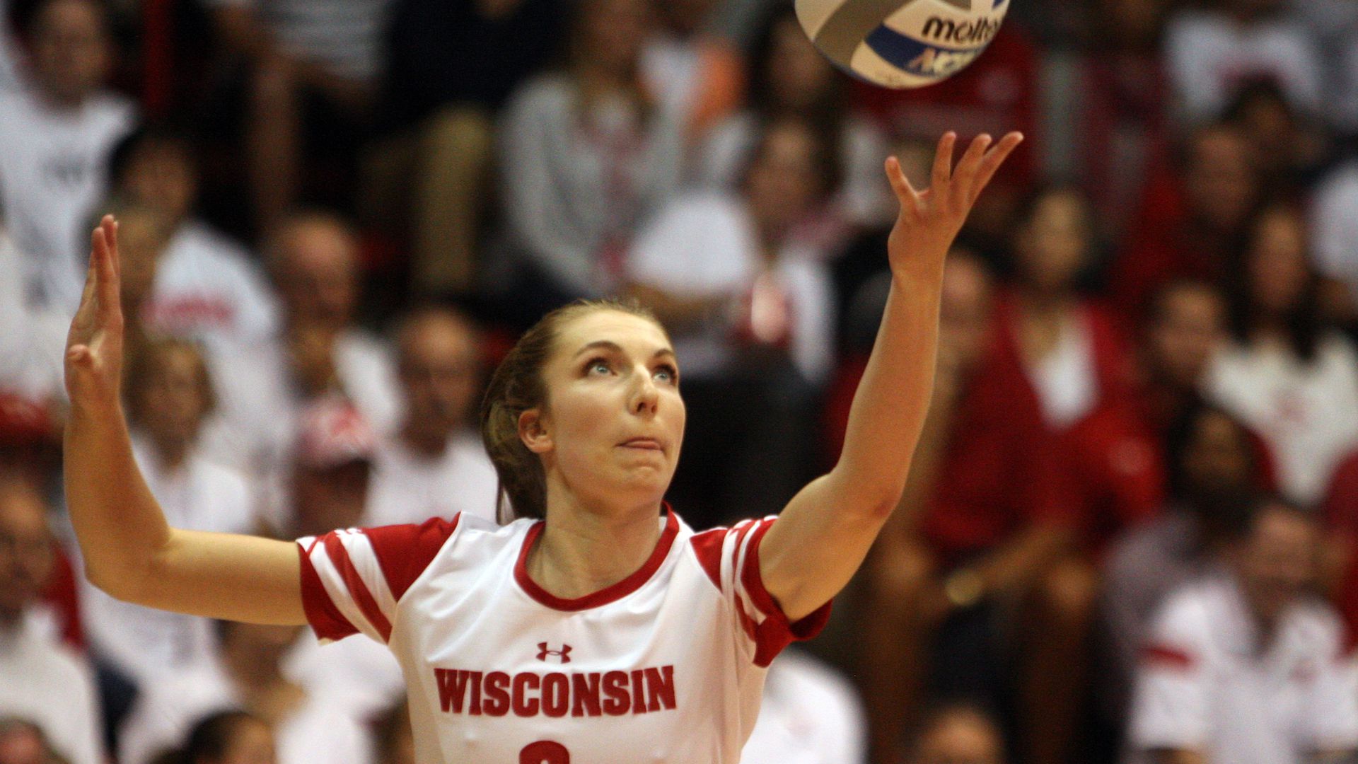 Wisconsin Volleyball: Former Badgers Play In US Pro Volleyball League