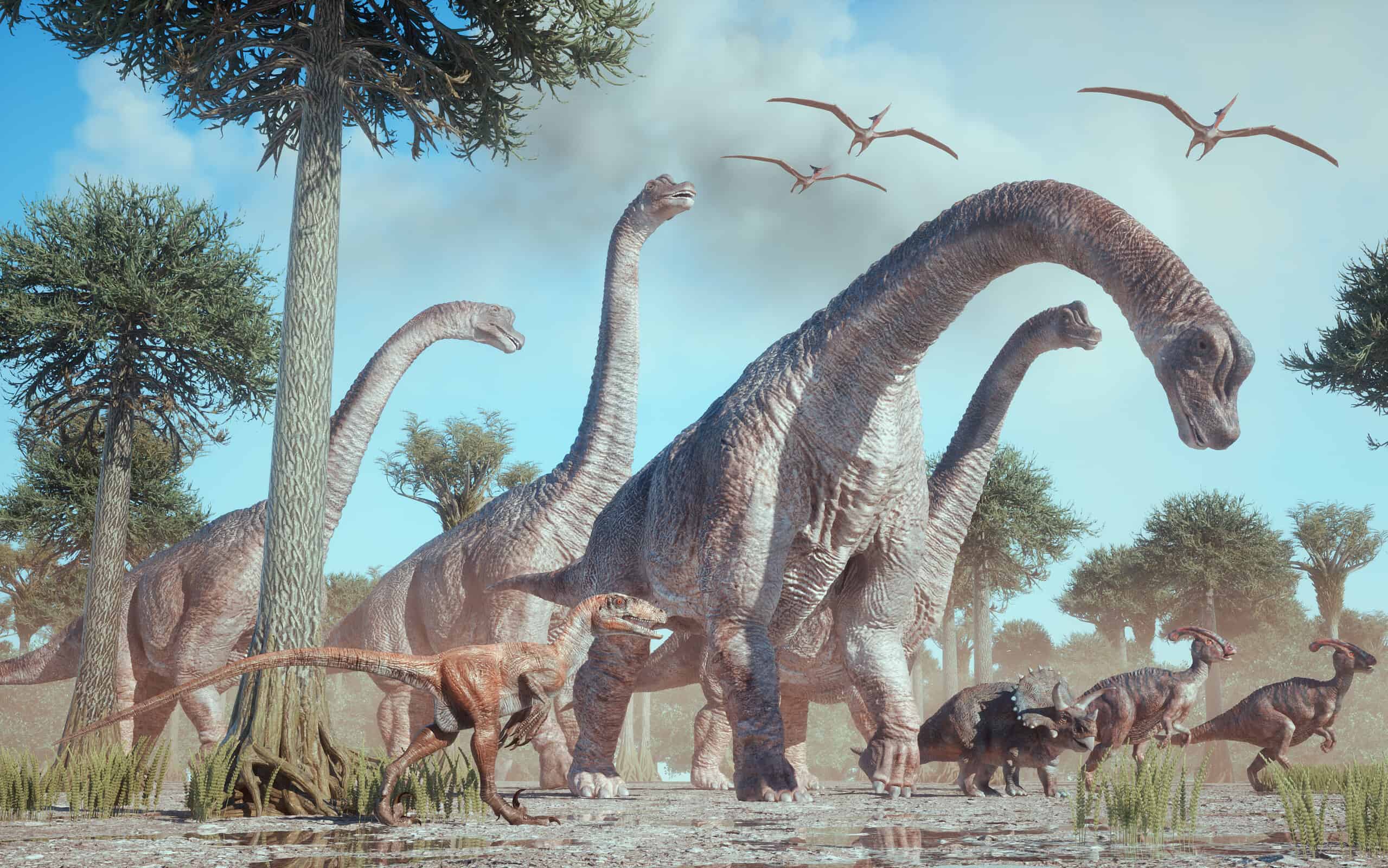 Discover the 11 Dinosaurs That Start With Q