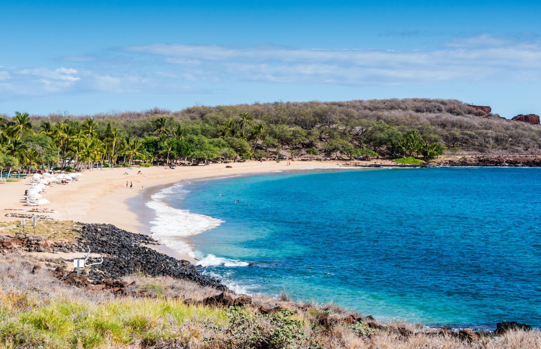 Florida Highway Trooper Zachary Fink perishes in a car crash while on duty